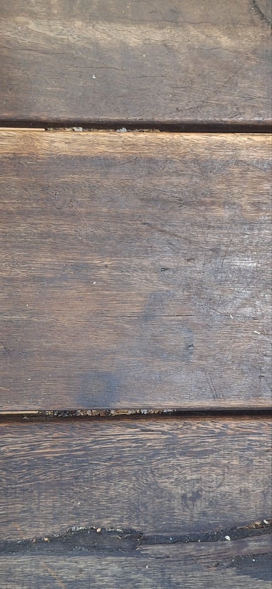 Adam Earle tweet media