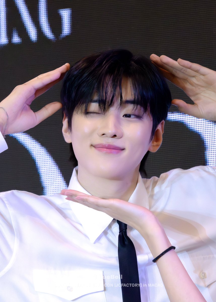 강아지들이 너무 순해