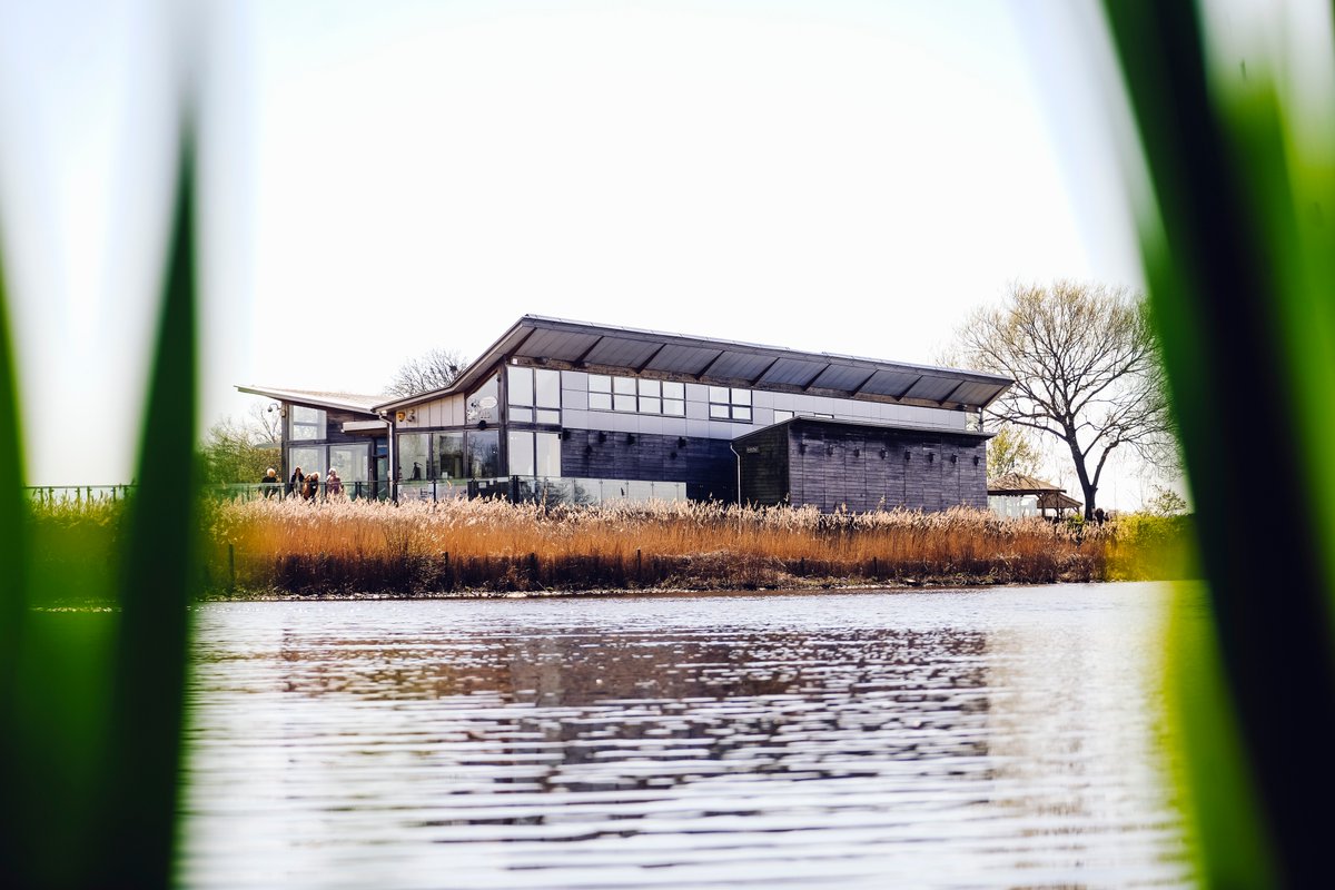 trentbartonland's tweet image. If you’re looking to explore Wildlife Trust sites by bus, we can get you to some amazing nature spots right across #trentbartonland.
Plan your trip here 👇🏼
orlo.uk/txFM3