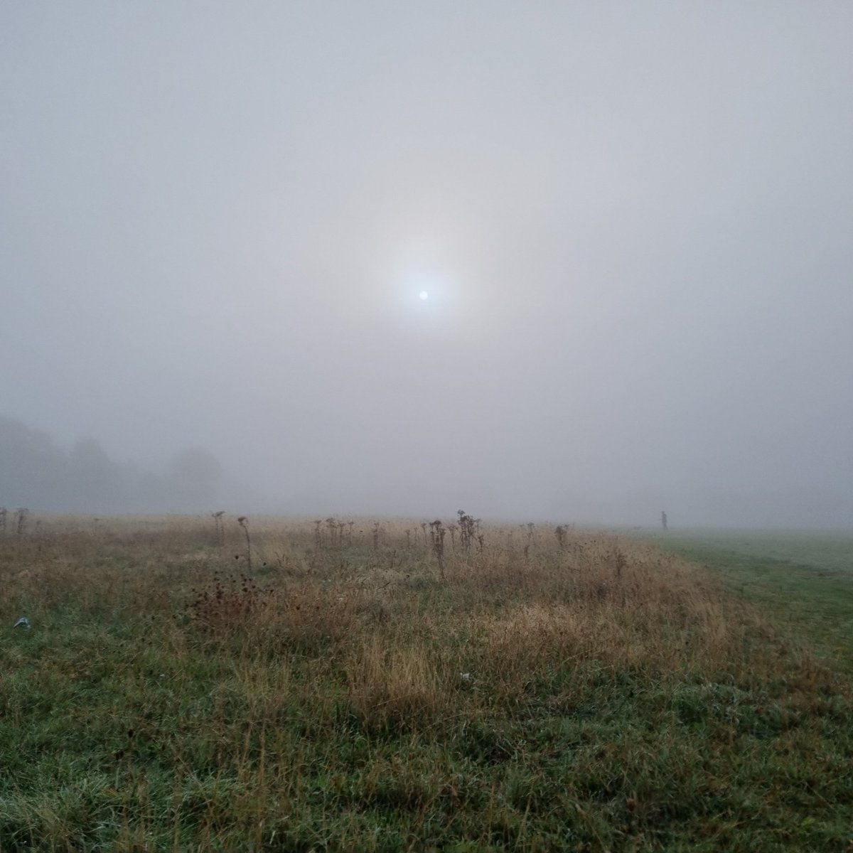 stuart collings tweet media