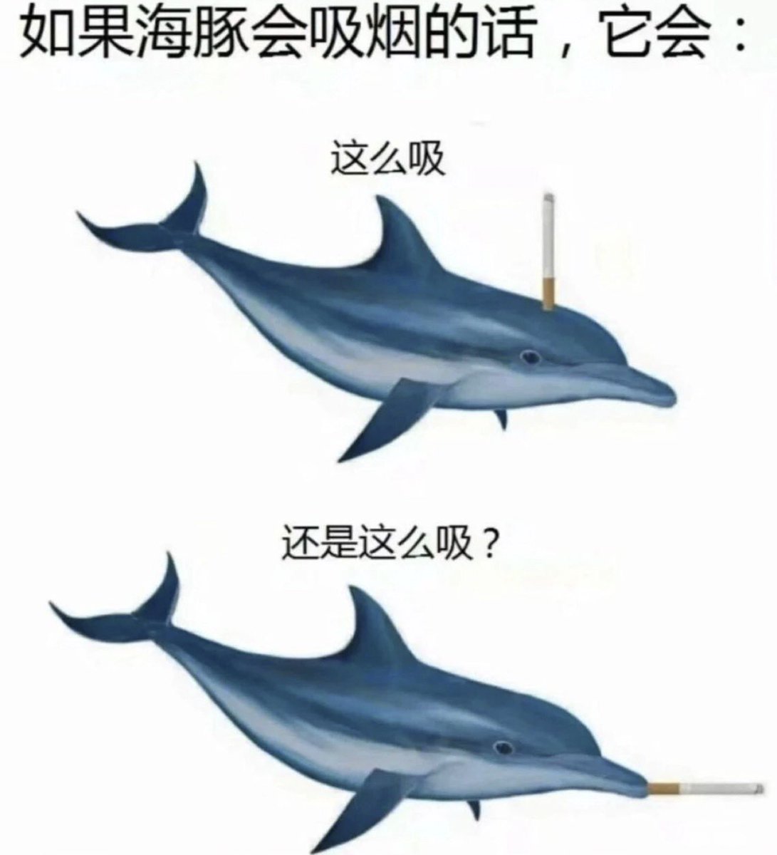 YunJiu's tweet photo. https://t.co/IkfeHY4fDc