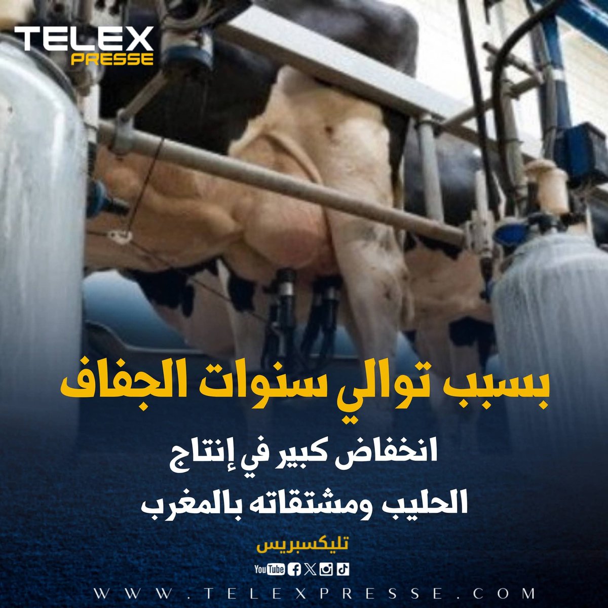 بسبب توالي سنوات الجفاف.. انخفاض كبير في إنتاج الحليب ومشتقاته بالمغرب
telexpresse.com/426611.html
