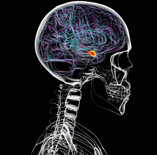 The Procrastinator Times tweet media