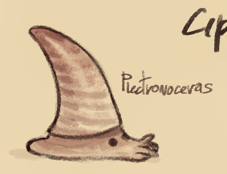 Capi974's tweet image. 