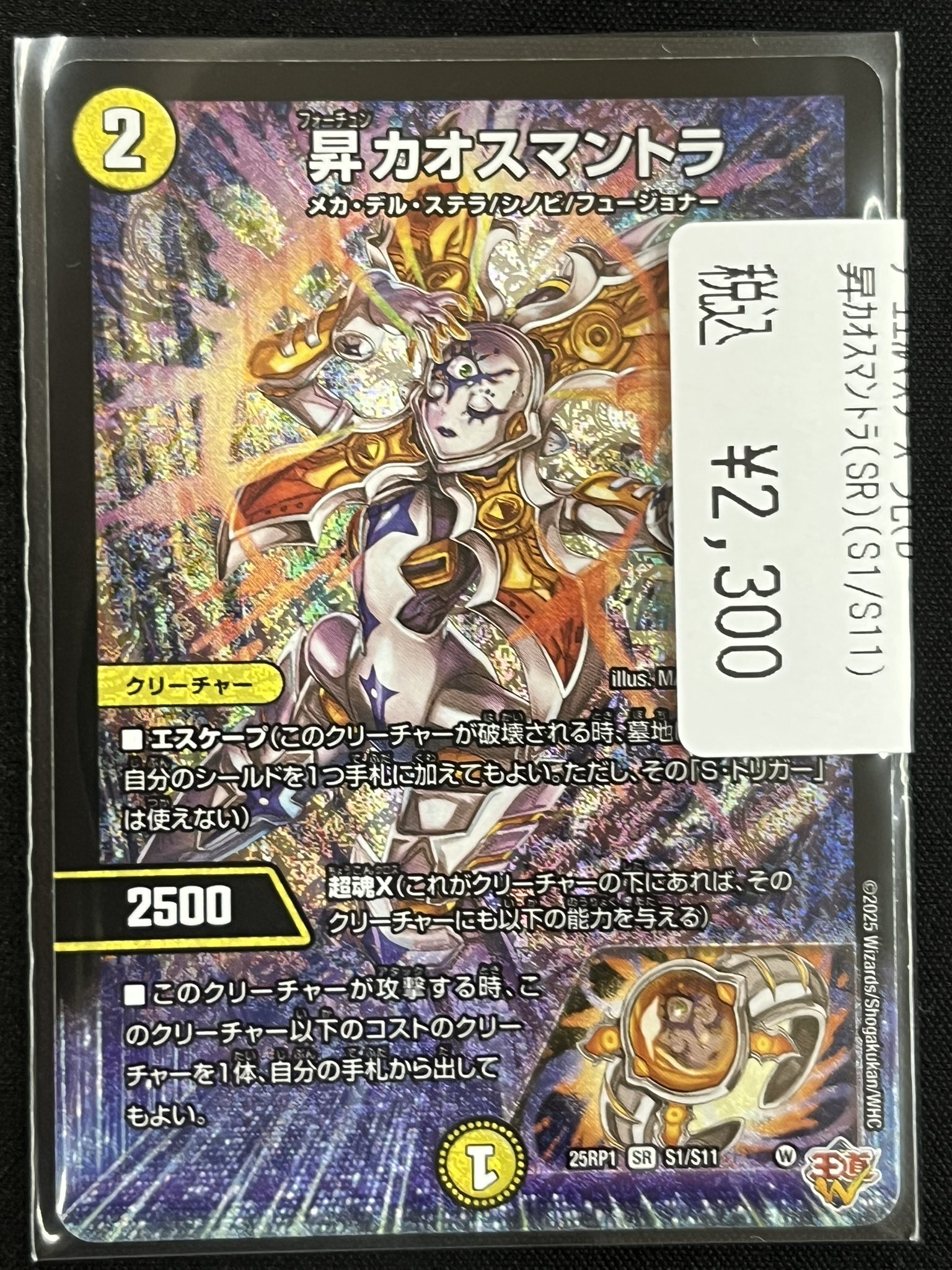 昇カオスマントラ　SR デュエル・マスターズ 昇カオスマントラ SR光 25RP1 S1/S11
