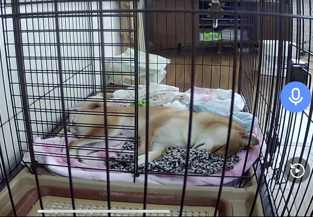 ちぃ (@chiidayo1168) / Posts / X