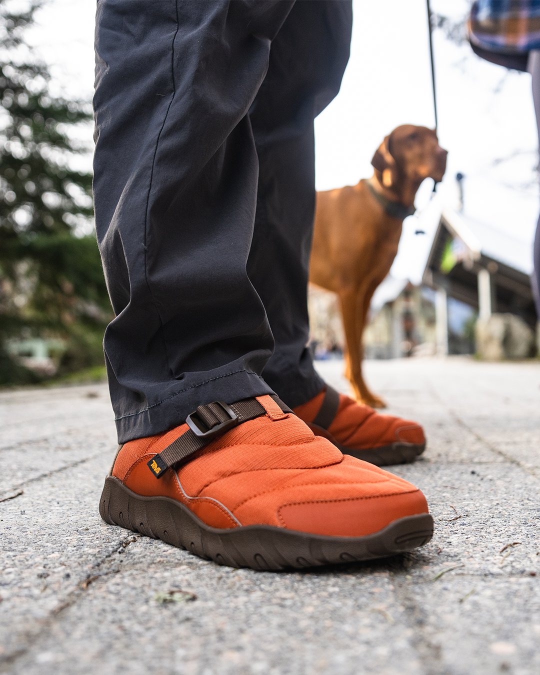 Teva_JP (@Teva_JP) / X