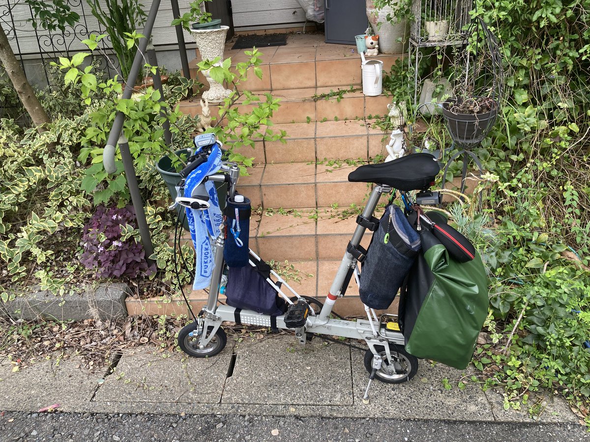 福助@2025年のチャレンジ失敗。もう一度再チャレンジかな