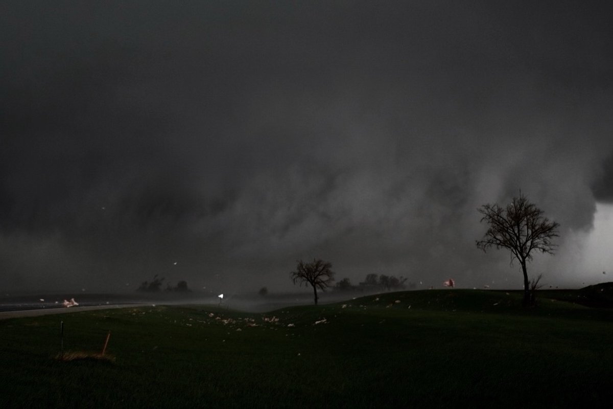 A photo I haven't yet shared from April 26, 2024: