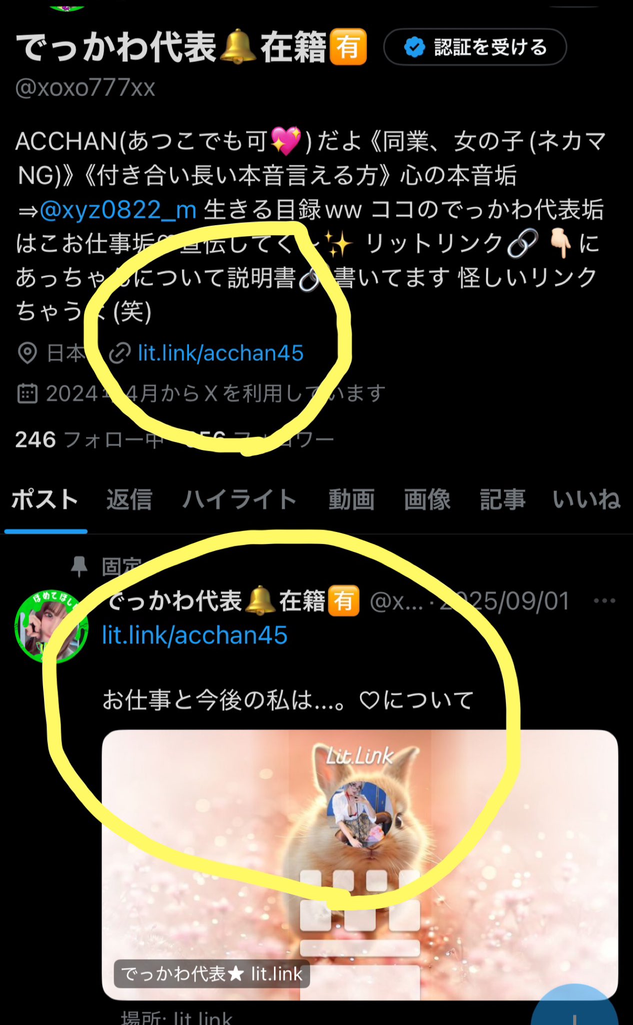あっちゃん(・ω・人)゛プロフ様の専用ページ でっかわ代表🔔大阪/運ばれ屋ｻﾝ🚗 (@xoxo777xx) / X