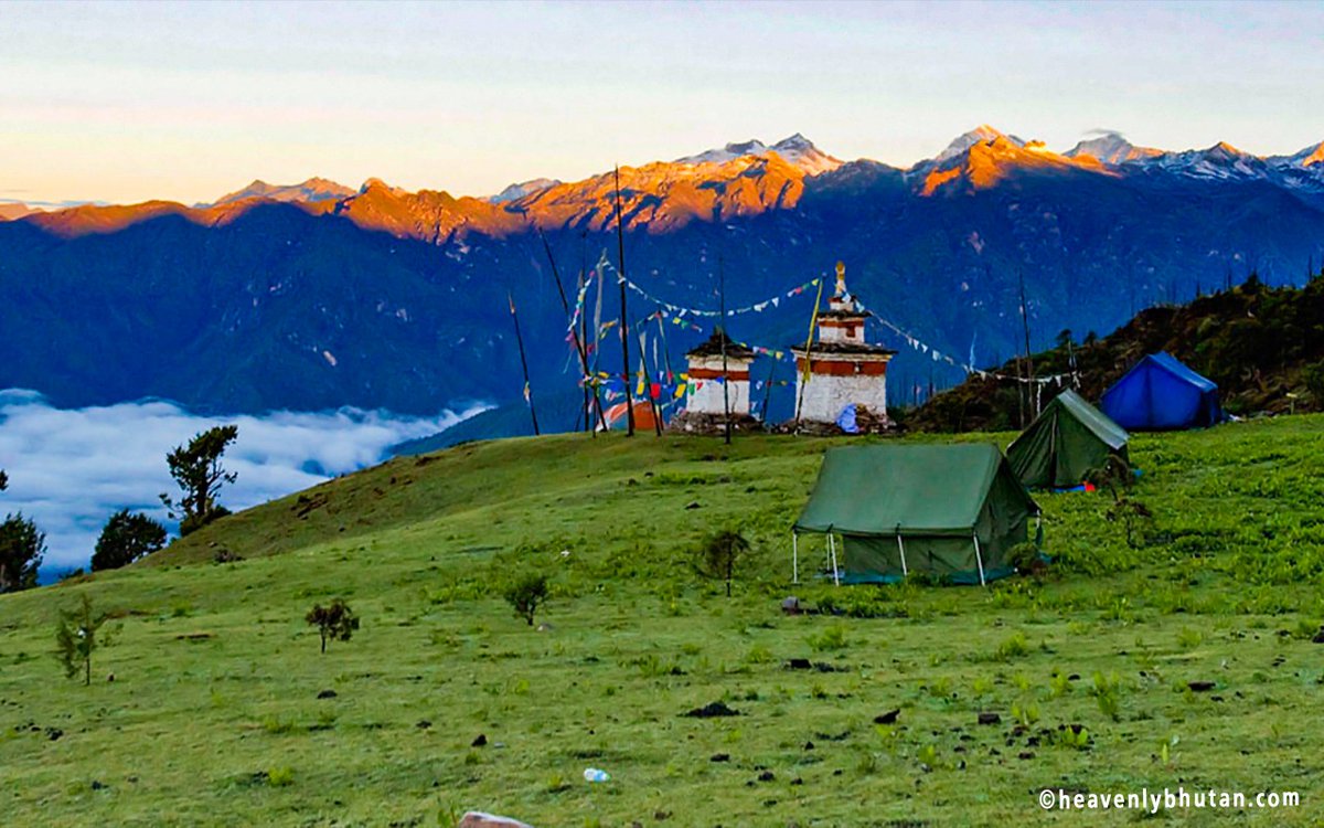pemawangchuk's tweet photo. Heaven feels closer to bumdra.
#travelgoals
#visitbhutan
#bumdra https://t.co/7cjNcI7VhS