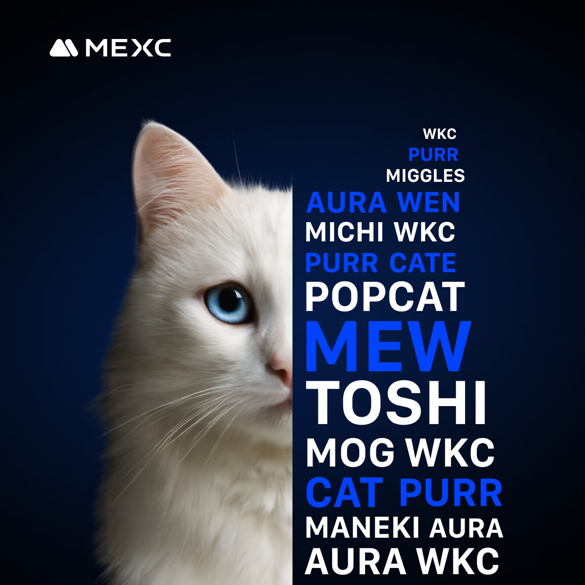 Meow to the crypto world! Which CAT is making noise? #WorldAnimalDay