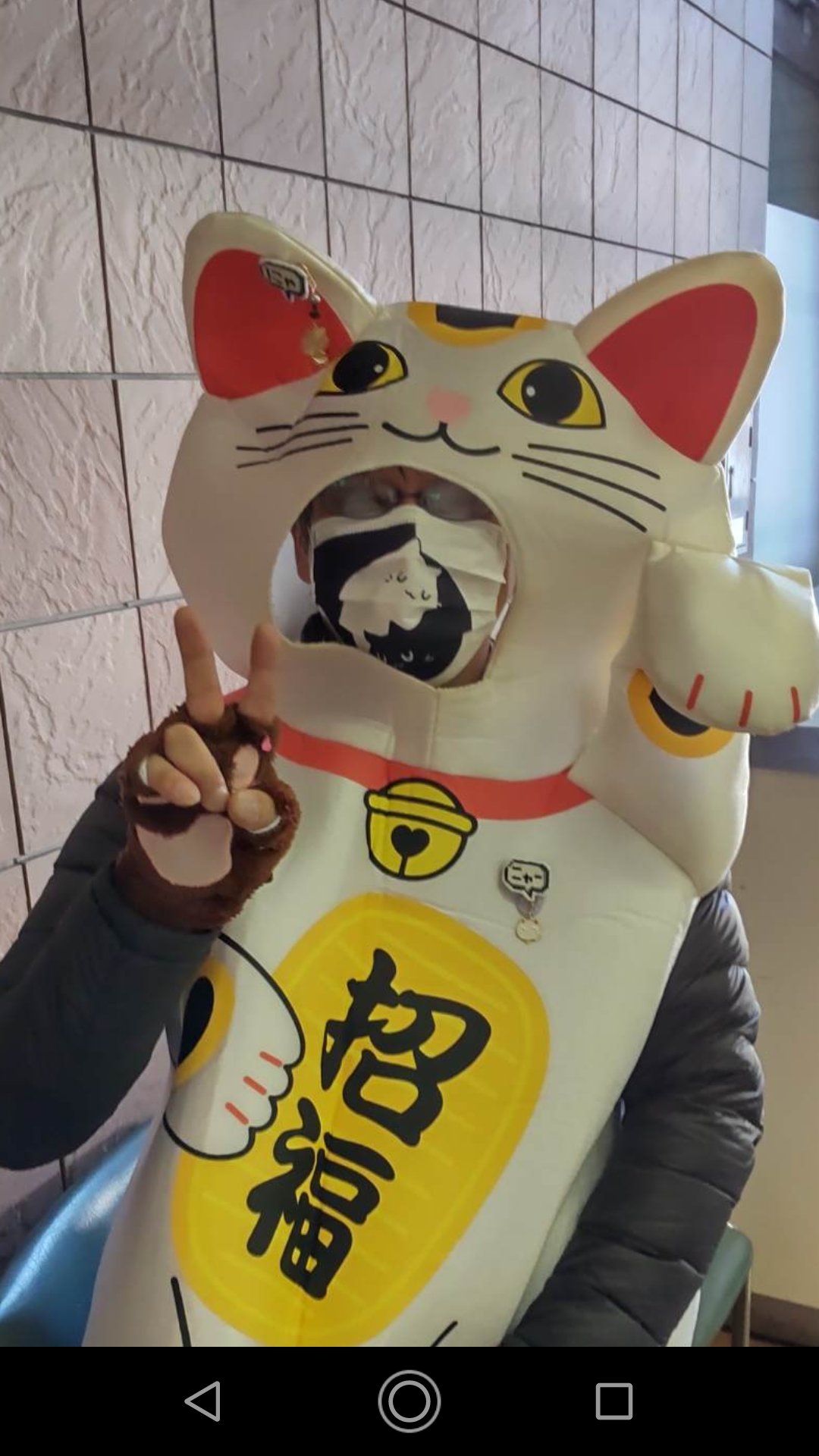 招き猫様確認ページ omiyage-japan_slbmnk1