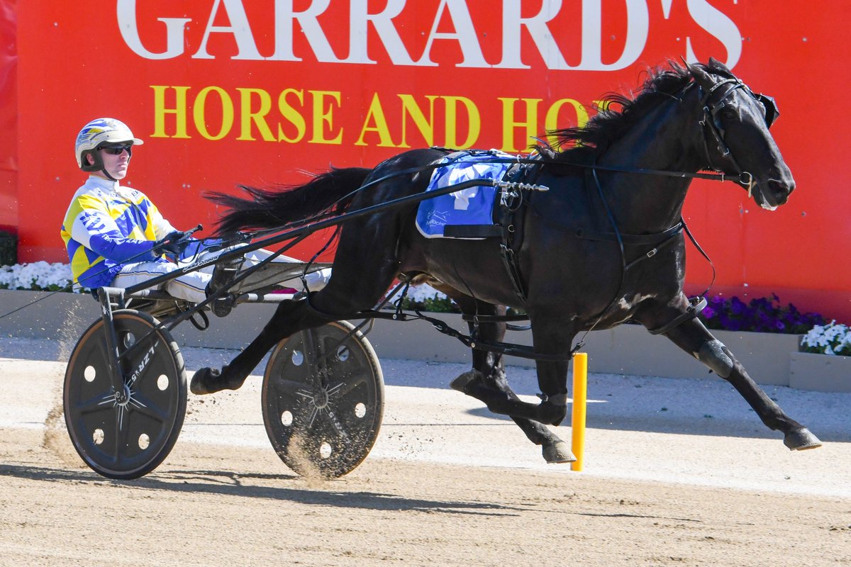 Dynamitedan powers to victory in the <a href="/NutrienEquineSB/">Nutrien Equine Standardbred</a> NSW Breeders Challenge 2YO C&amp;G Heat - Round 2.💥🥇

Trained by Emma Stewart and driven by Cameron Hart, the colt by Somebeachsomewhere USA out of Delightful Jackie recorded a mile of 1.53.7 and a winning margin of 5.8 metres.