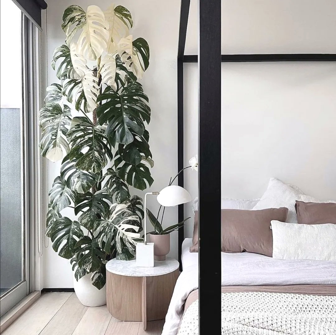 RoomPlannerd's tweet image. Follow this page for daily inspiration ✨