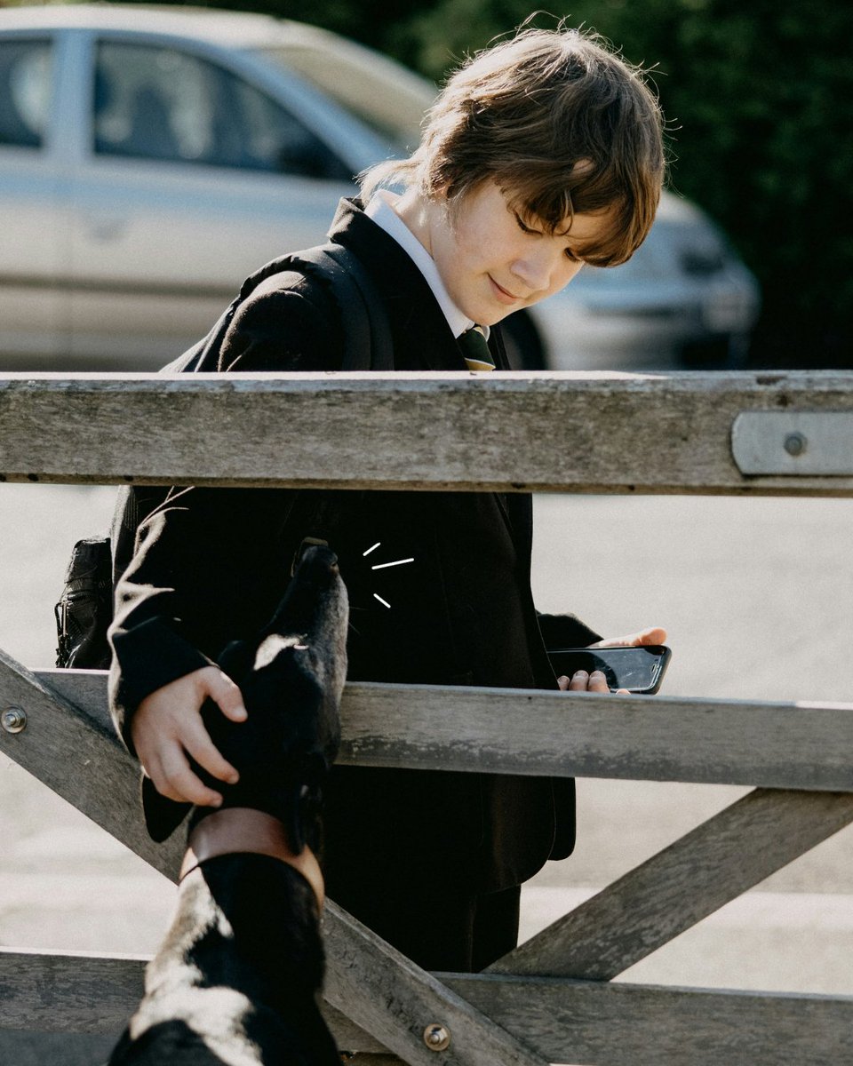 The journey through school years isn't always rainbows and dog pats. It can be a tricky thing to navigate for both students and the community supporting them. The more good systems you have in place to guide things, the better.