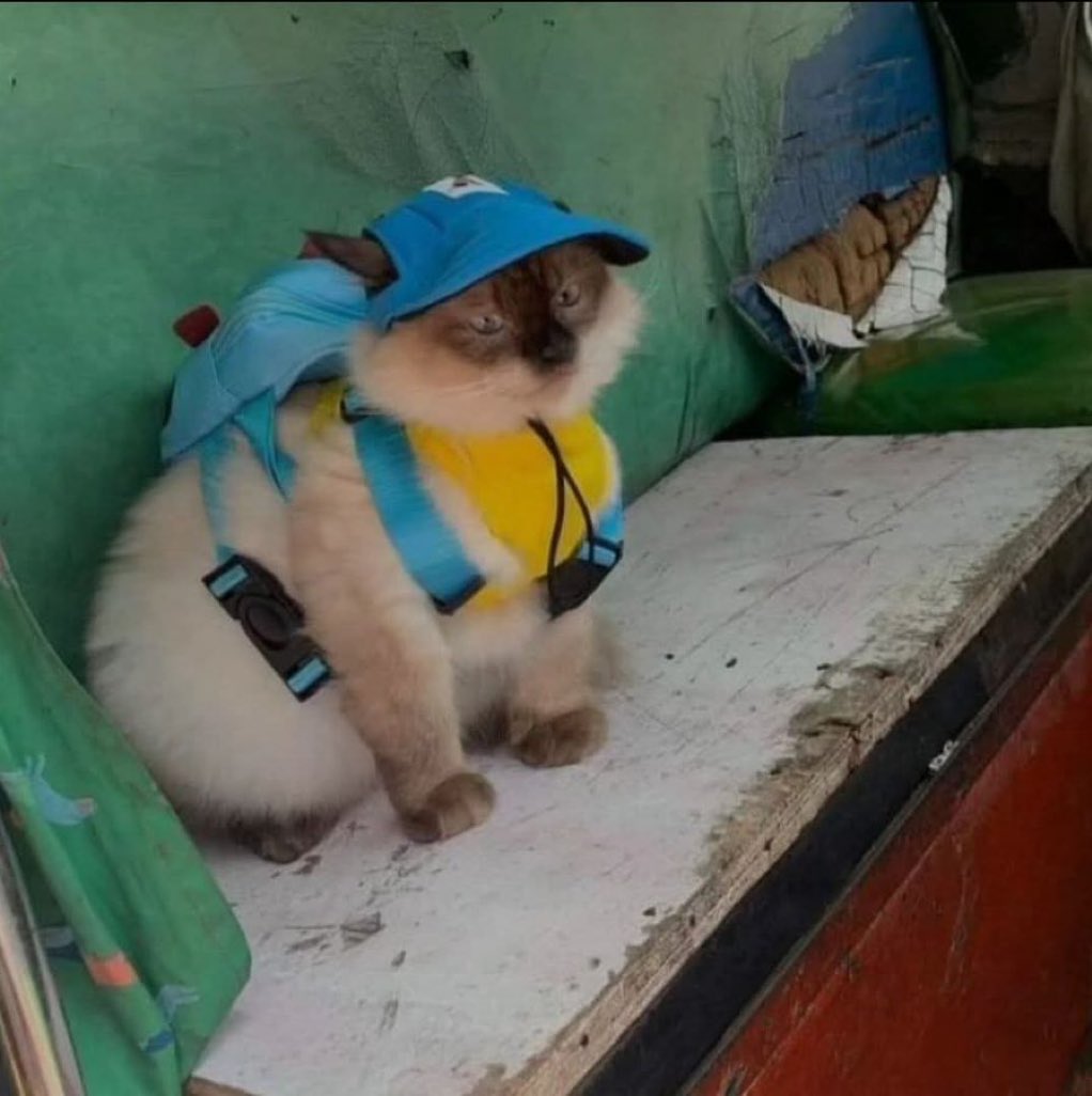pronto pra mais uma semana