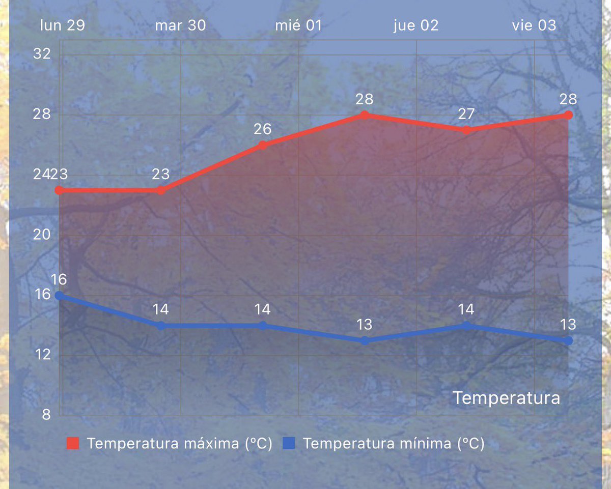meteo_tetuan's tweet photo. #BuenosDías! 16° en #Tetuán casi a las 6:00h de la mañana, con una humedad del 66%. Tenemos por delante un día variable, con rachas de viento que serán más intensas a mediodía. El resto de la semana… calma. Empezará #octubre con nuevo ascenso de temperatura: otro “#veranillo” 🌡️ https://t.co/rus3eaYOB6
