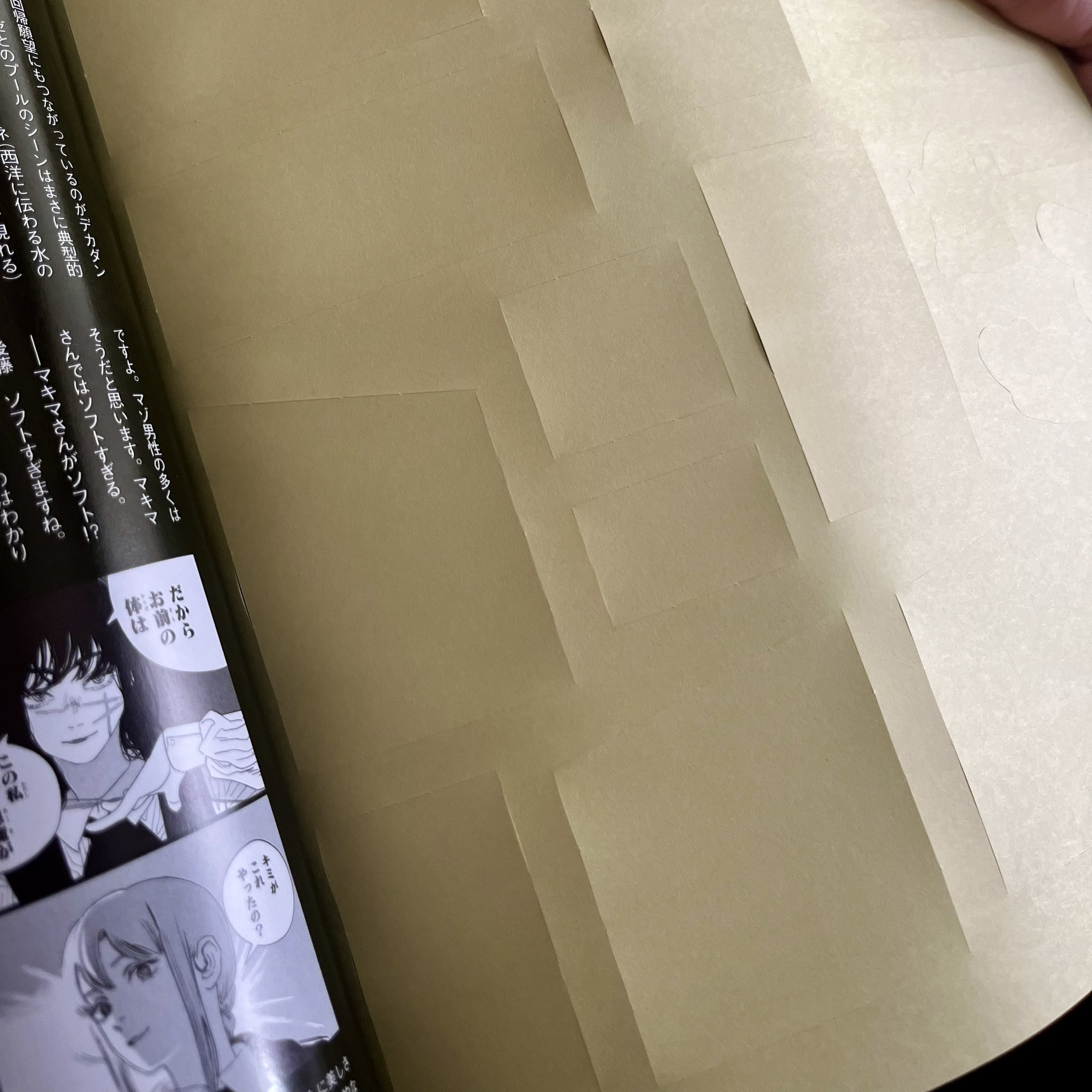 メンズノンノ チェンソーマン ステッカー 両面ピンナップ 完備　5冊 メンズノンノ チェンソーマン ステッカー 両面ピンナップ 完備 - メルカリ