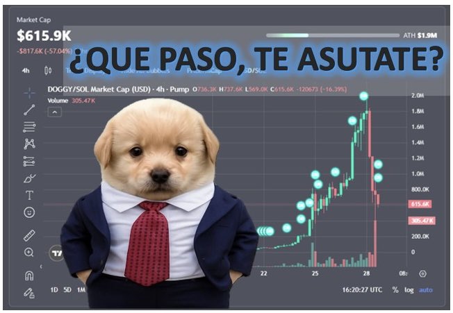 DiablaSrs's tweet photo. El último en HODL gana el barrio. 🐶🇲🇽
YO LO TENGO CLARO!
#DoggyArmy #CriptoMexa
Aquí puro trabajo @isracripto @sanpei @soyeldoggy https://t.co/YHF3PMwLw6