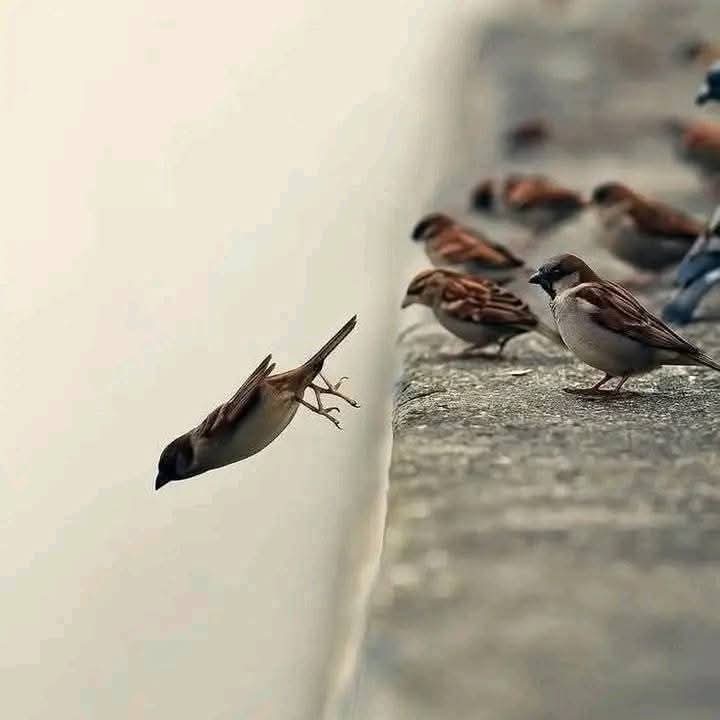 "المُغادرة الصّامتة هي الرد العظيم لكُل مَن استهان بطيبة قُلوبنا."