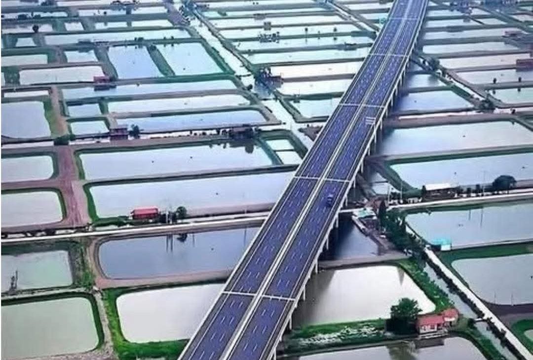 kissan_pakistan's tweet image. چین نے کسانوں کے کھیت اور مچھلی فارم کو نقصان پہنچائے بغیر ہائی وے تیار کر کے دنیا کے لیے مثال پیدا کر دی...