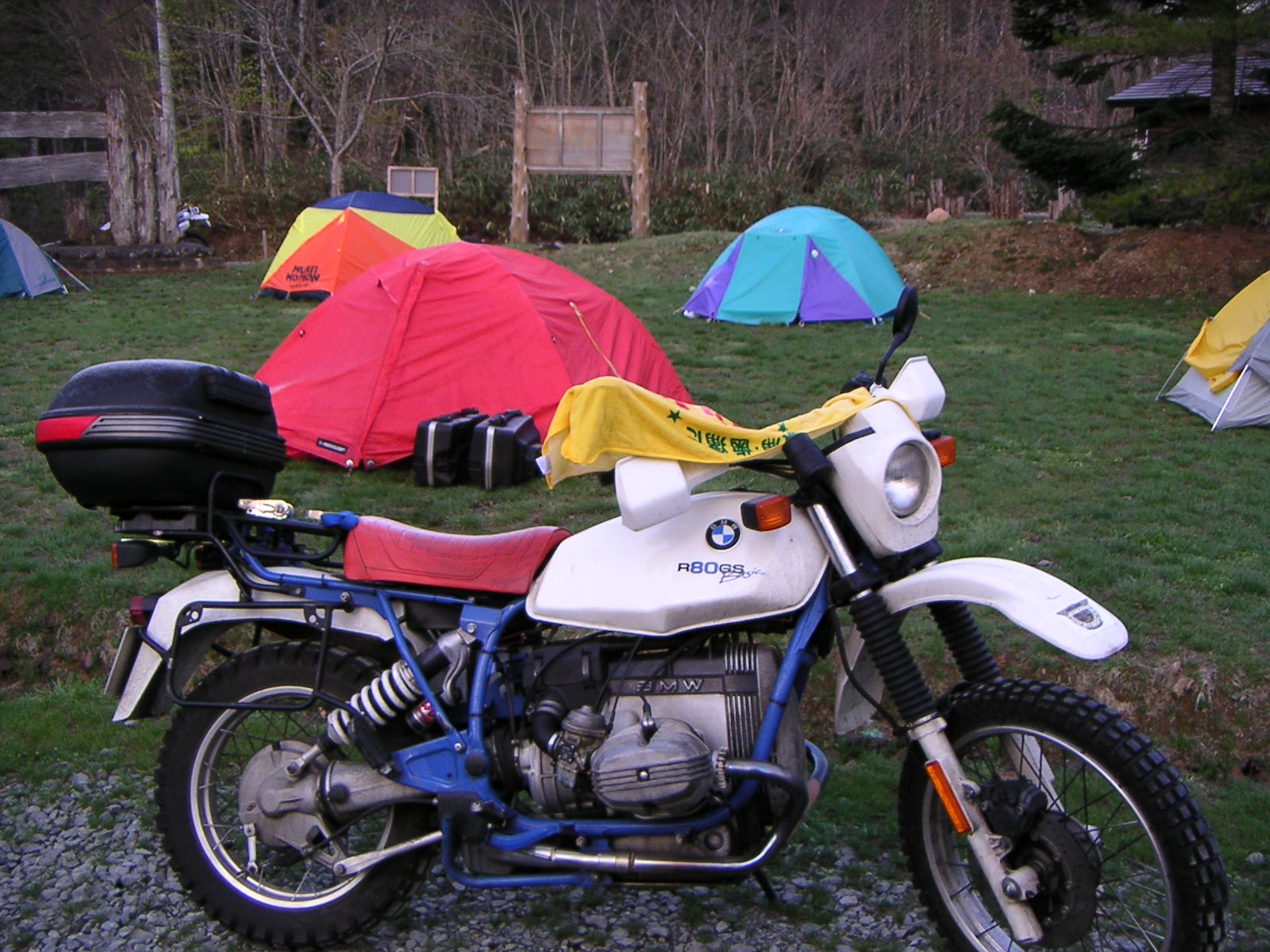 chicken (@chicken) / X