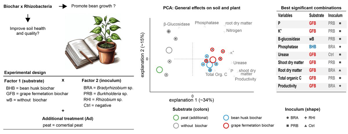 soils_mdpi's tweet image. Biochar and Plant Growth-Promoting Bacteria Boost Chemical and Biological Properties of Semiarid Soil in Cowpea
mdpi.com/2571-8789/9/1/…
by Inara da Silva Araujo, Argemiro Pereira Martins Filho, Diogo Paes da Costa, et al.
circular economy; PGPB; environmentally friendly