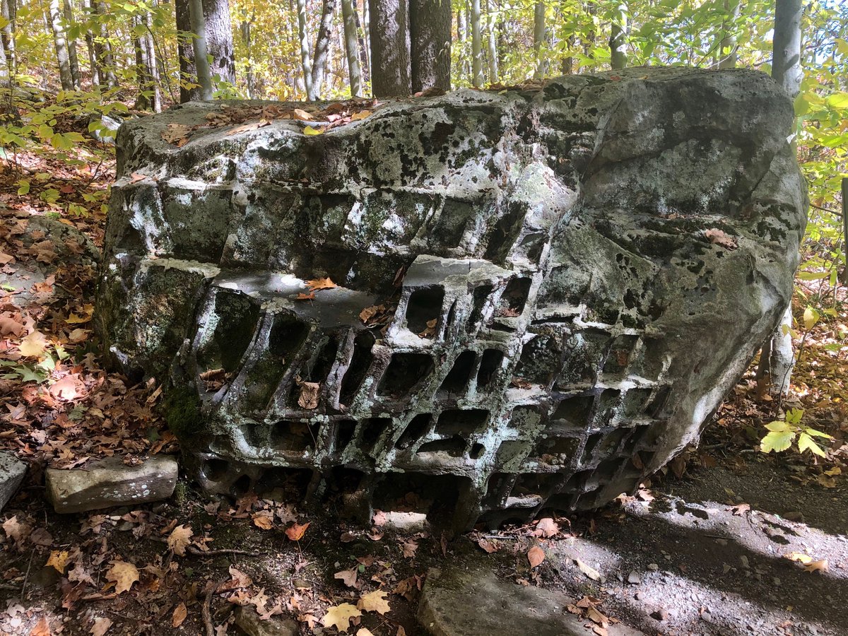 brosketti tweet media