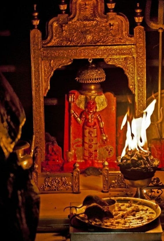 aashishbjp's tweet image. आसो मास उजाल पक्ष, सातम शुक्रवार।
चवदह सौ चौमालवे, माँ करणी लियो अवतार ।।
जन-जन की आराध्य देवी "श्री करणी माताजी" के अवतरण दिवस पर आप सभी को शुभकामनाएं।