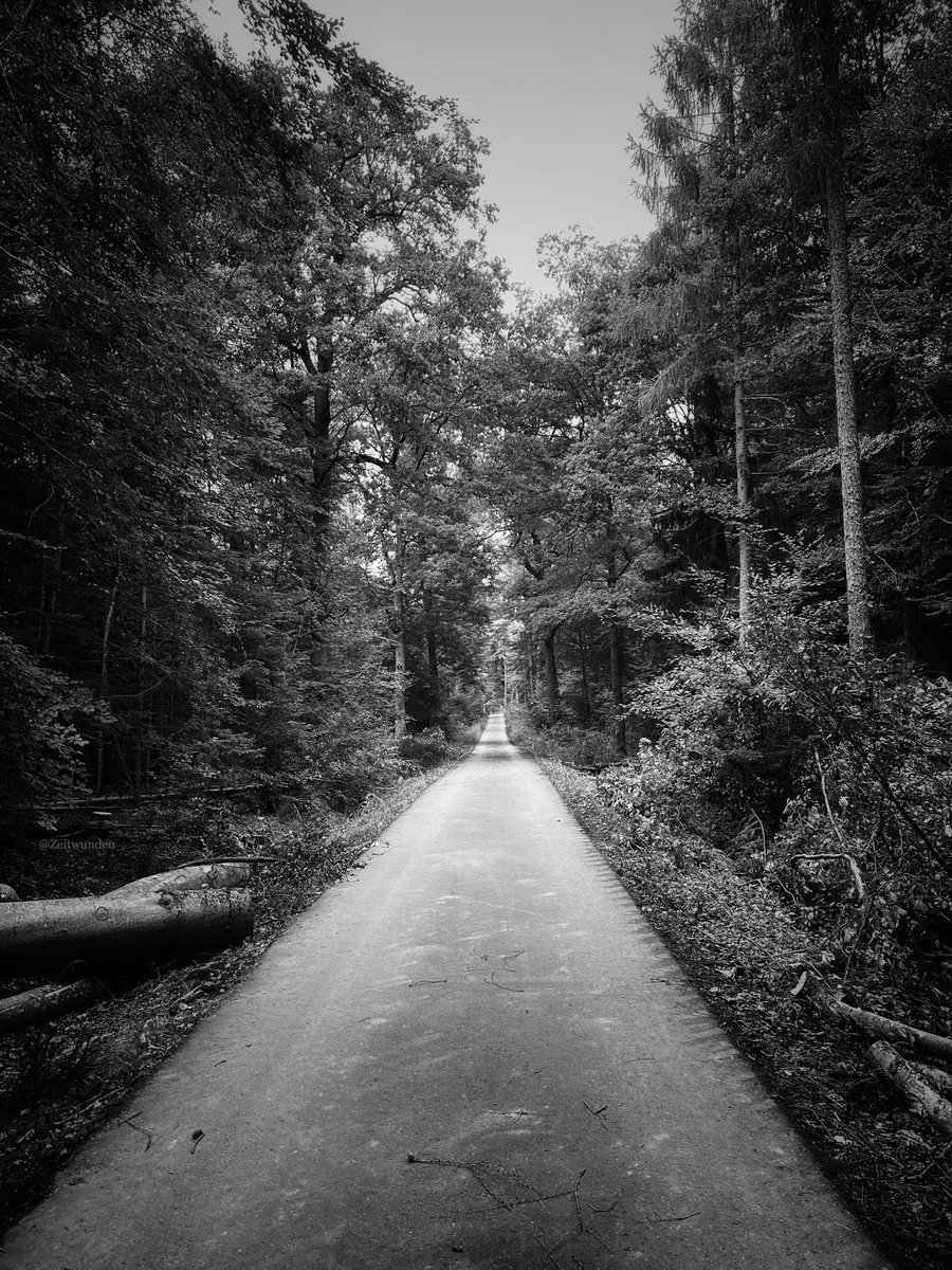 ƵϢ (@zeitwunden) on Twitter photo 