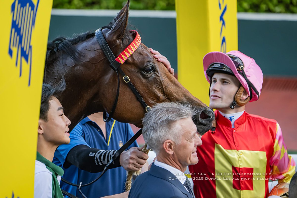 朝鮮の盃② A pair of lemon yellow-glazed cups, Marks and period of