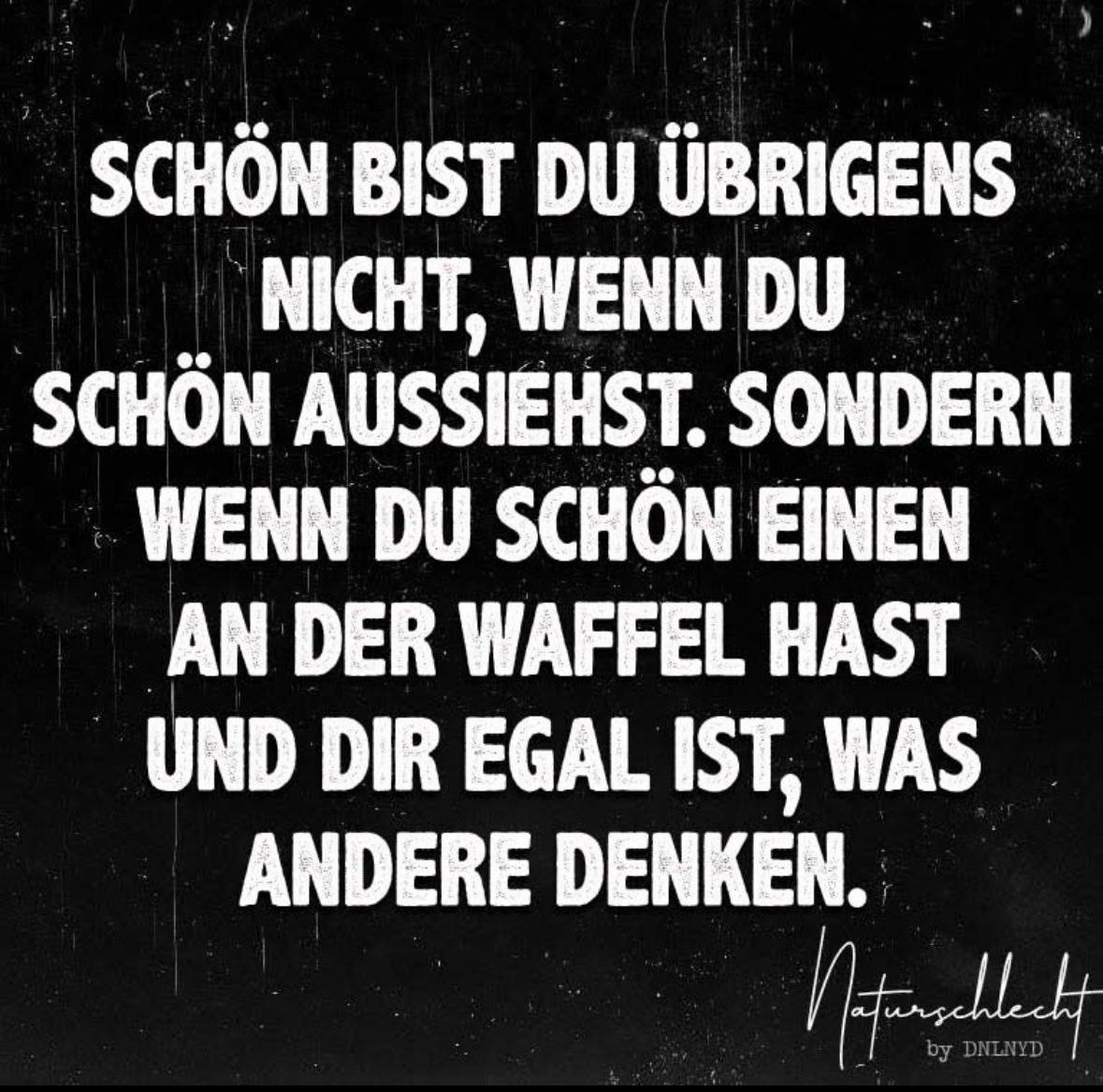 blumenwieseines's tweet image. 