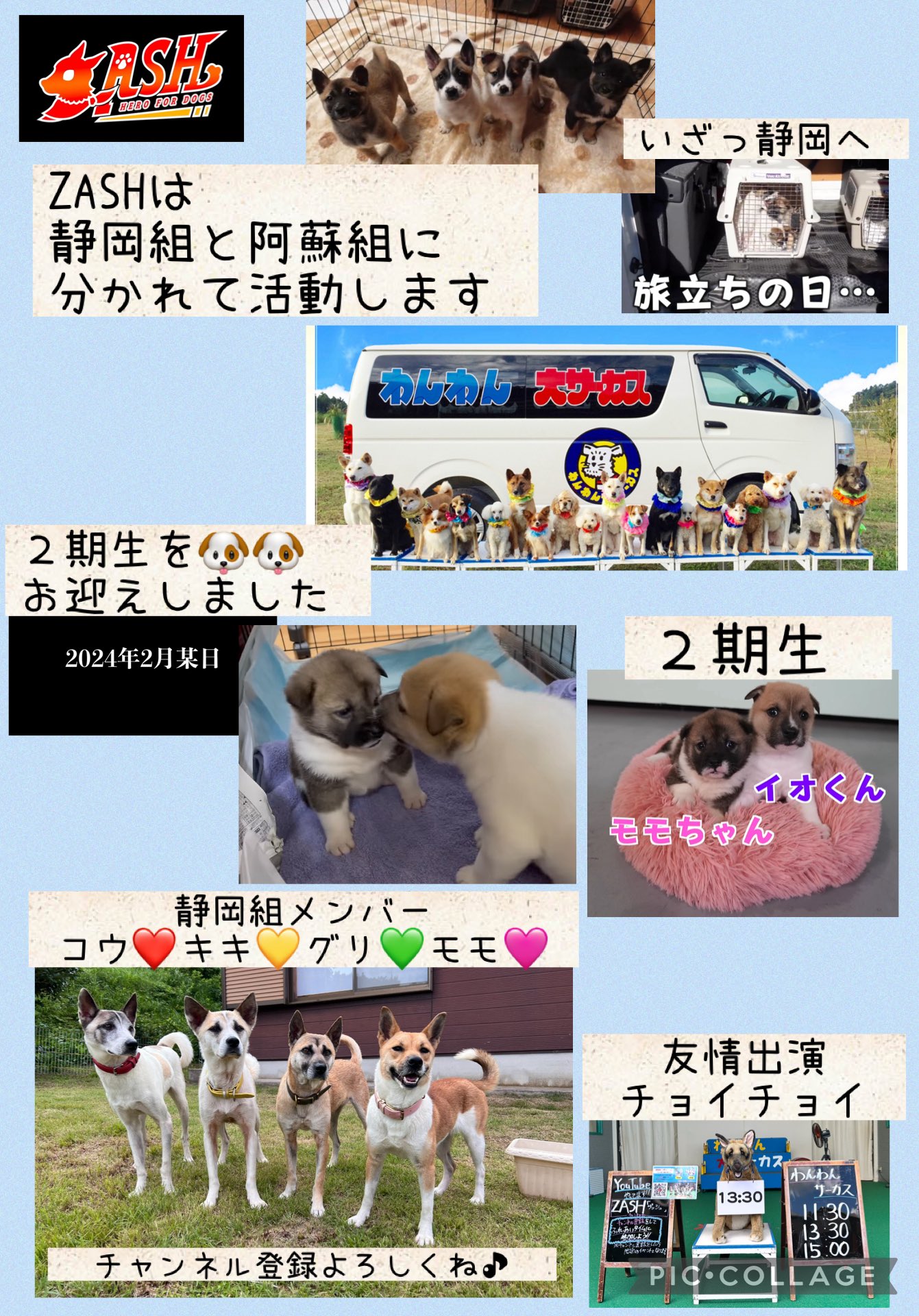 わっちゃかぺ on X: 