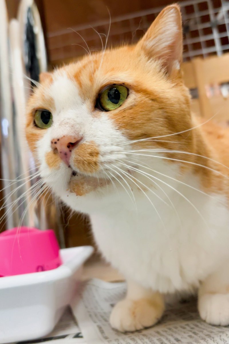 あんどわん tweet media