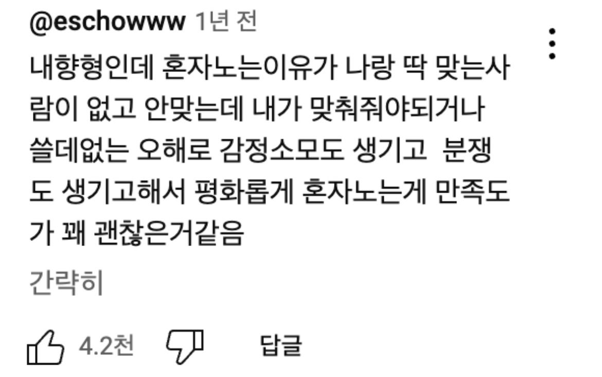 혼자 잘 노는 내향인들의 생각