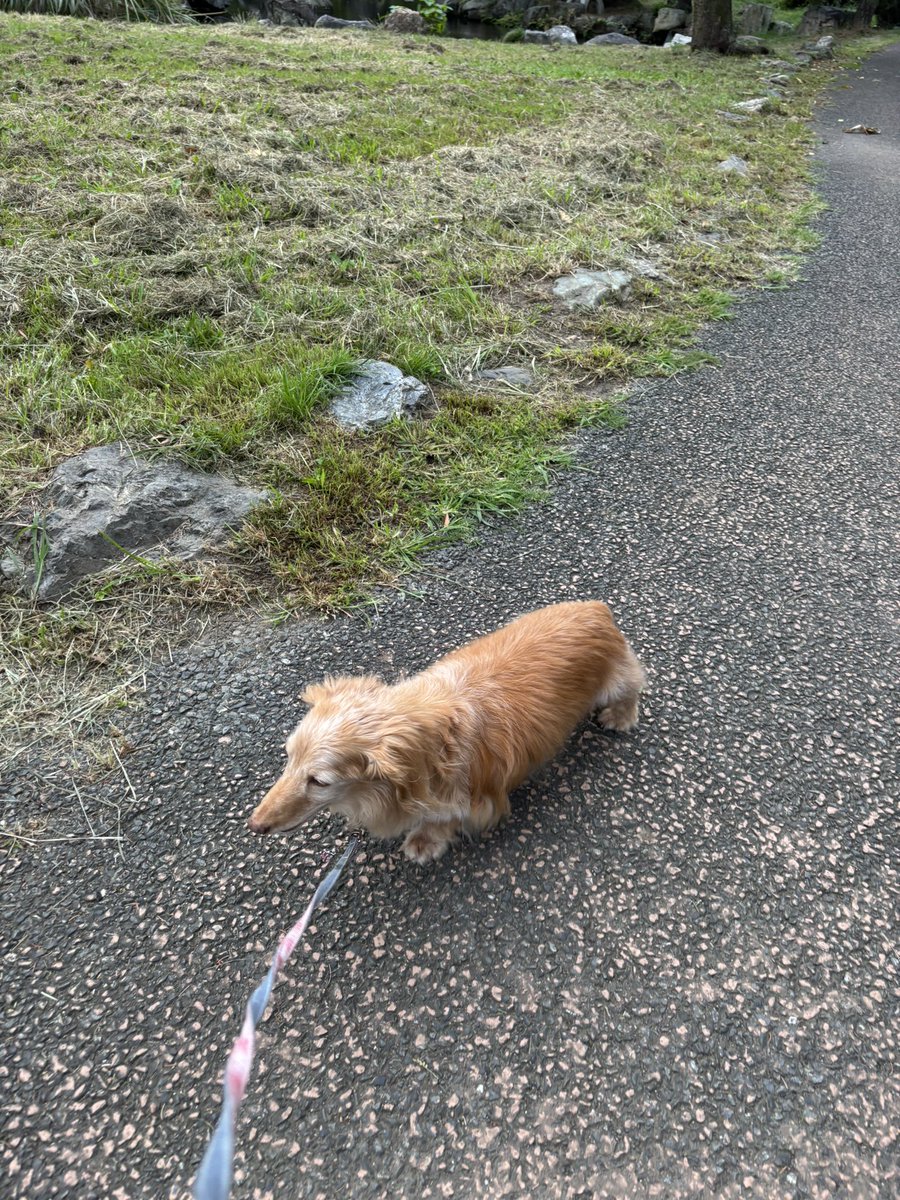 ゆきんこ🌸 (@Yukinko0520) / Posts / X