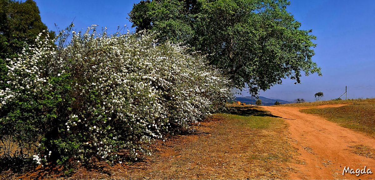 Omdat ons onvolmaakte volgelinge van Jesus is, het ons almal hulp nodig om op 'n manier te leef wat God verheerlik. Elkeen van ons moet ons lig voor mense laat skyn sodat hulle die goeie werke wat God vir ons beplan het, kan sien.
Goeiemôre, seënwense🙏🏻