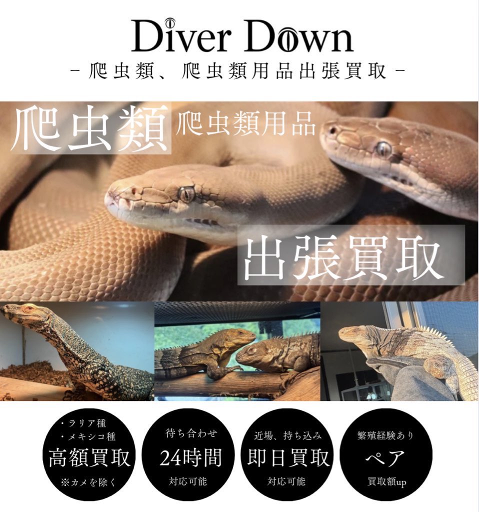 Diver Down (@DiverDown2727) / Posts / X