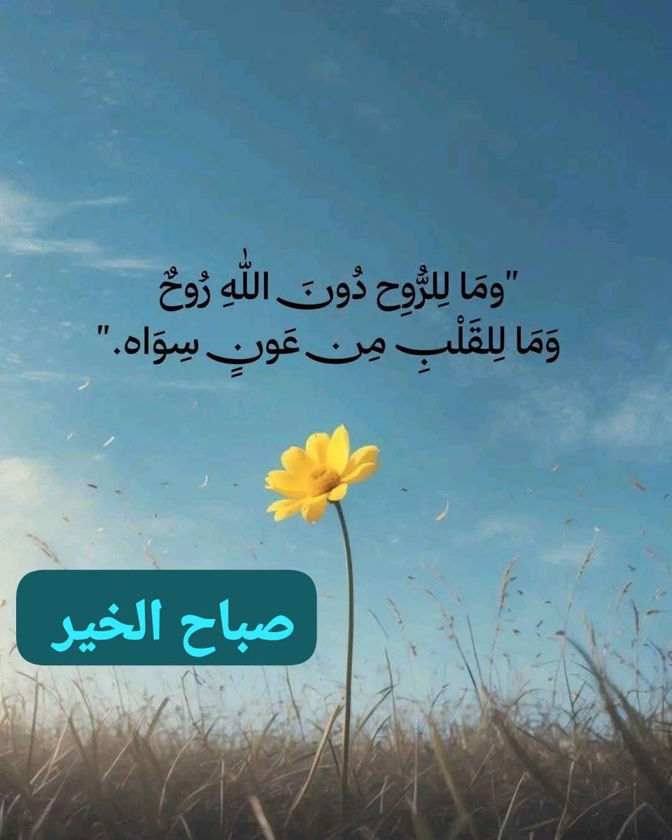 ابو المنذر المنذري ( راعي الرباعة ) (@saif_almanthari) on Twitter photo 