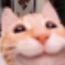 Soyforgotme's tweet photo. @daily_durin Nothing brings me more joy than seeing daily accounts get content of their character and watch them act like they hit the pentagon https://t.co/Z5tQRYr6Q5