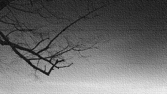 حرف 𝕏 ومعنى tweet media