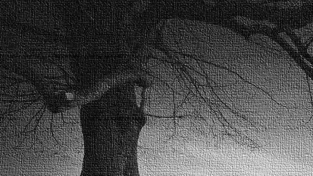 حرف 𝕏 ومعنى tweet media