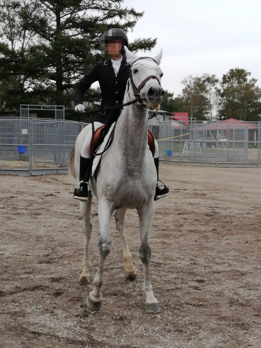 オルフェーヴル