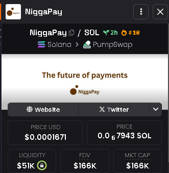 🚨Signal Alert🚨

$NIGGAPAY
MC : $166K
CA : 89PGxMyDtDyitT3L5qXxdKuoCys1bHy2HLMHXRC5pump

Fresh on #PumpFun
Early entry vibes
Potential #100xGem

#Solana #Crypto #DeFi #MemeCoin