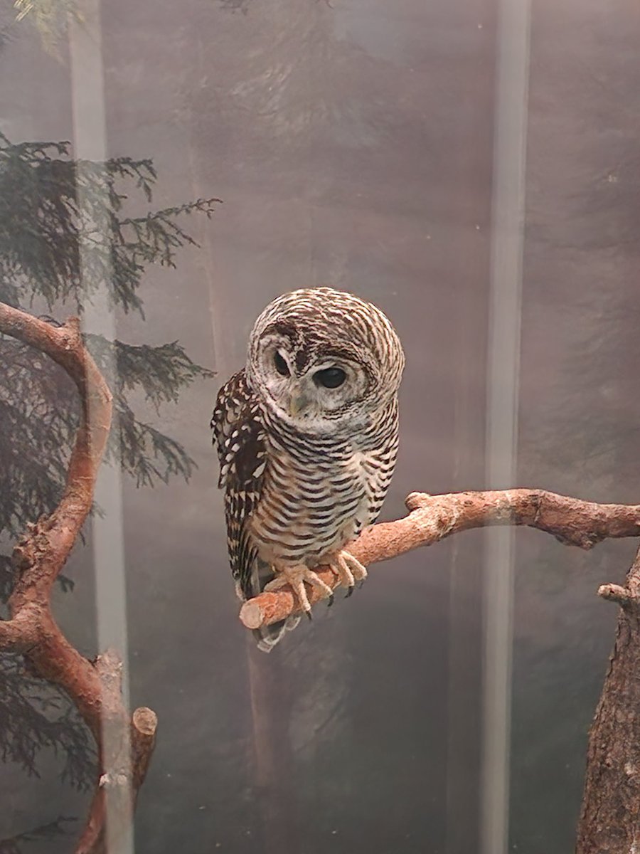 サンシャイン水族館はじめて来た！