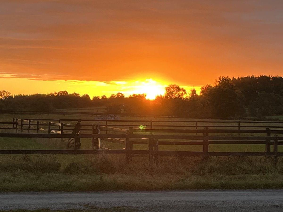 Godmorgon!
Ny vecka, nya möjligheter ☺️👊🏻