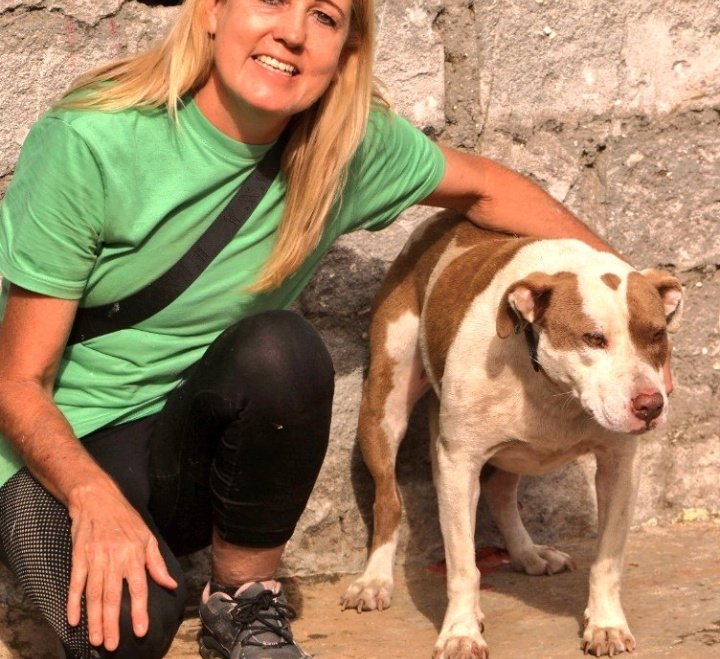 lolsielove's tweet image. I know it is Monday morning and everybody is sick of my begging, but I never cried so much in my life then yesterday, I had to take Bella back to her owners after the Vet took out her cancer and she was with loving fosters for three months, the owners promised me they will care…