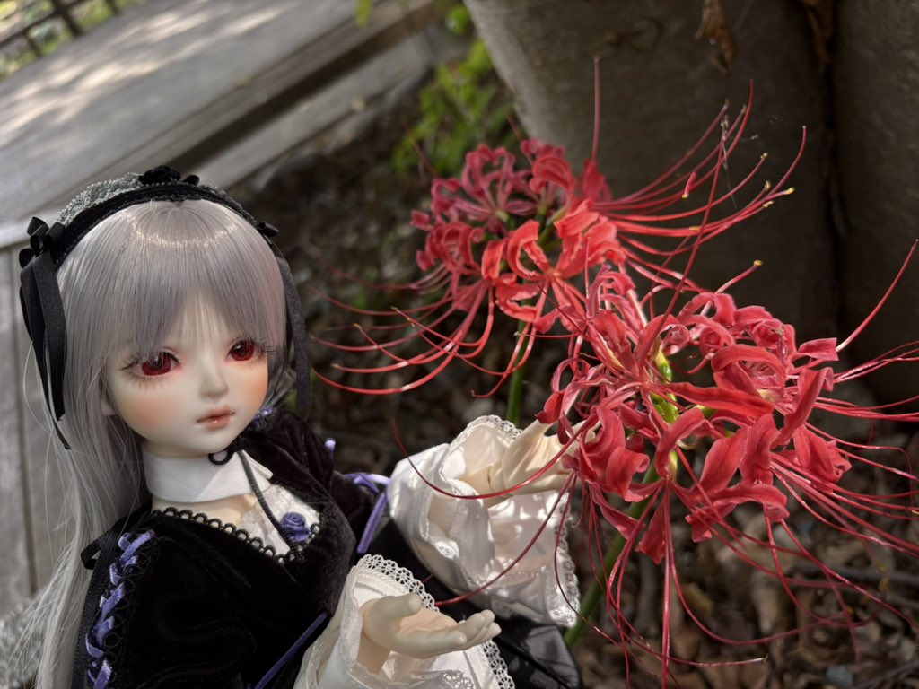 モミジ (@4sNb9BXifZ5L3CQ) / X