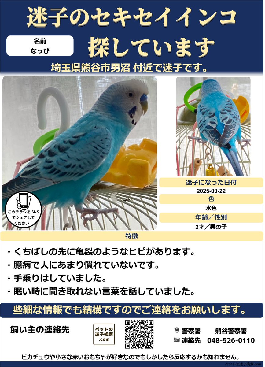 本家】ペットの迷子検索.com (@maigokensaku) / X